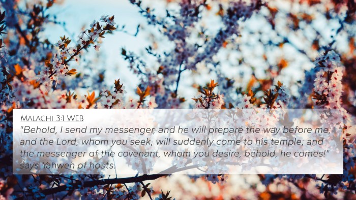 Malachi 3:1 WEB Bible Verse Image