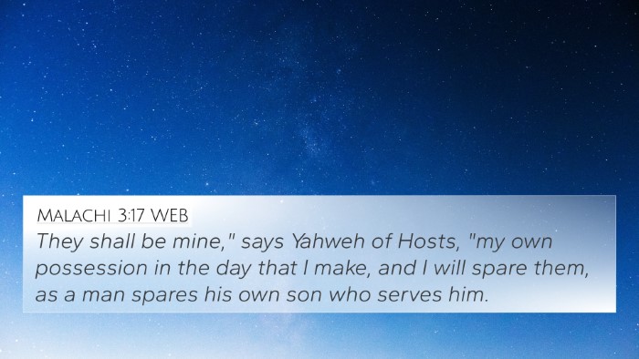 Malachi 3:17 WEB Bible Verse Image