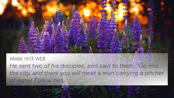 Mark 14:13 WEB Bible Verse Image