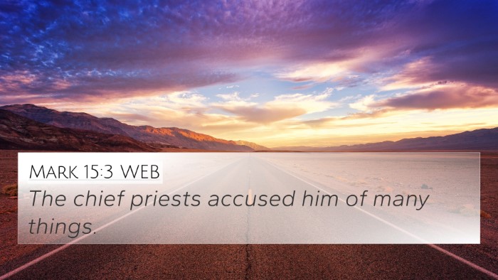 Mark 15:3 WEB Bible Verse Image