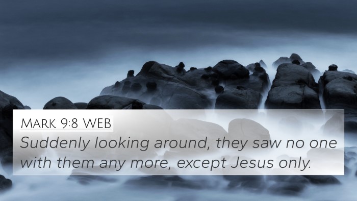 Mark 9:8 WEB Bible Verse Image
