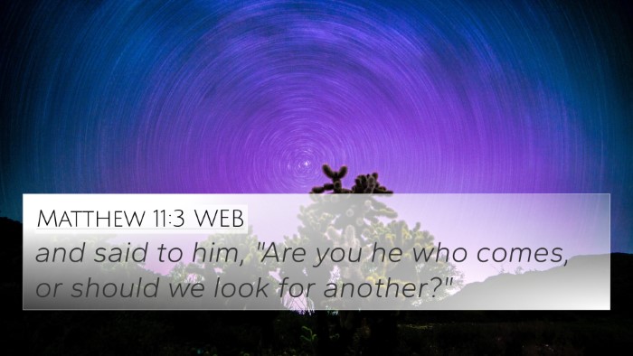 Matthew 11:3 WEB Bible Verse Image