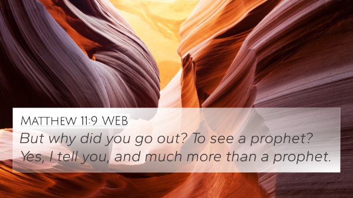 Matthew 11:9 WEB Bible Verse Image
