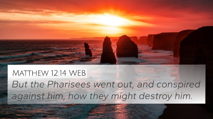 Matthew 12:14 WEB Bible Verse Image