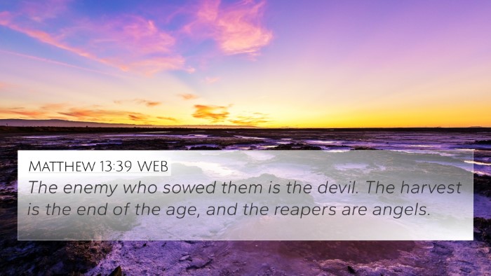 Matthew 13:39 WEB Bible Verse Image