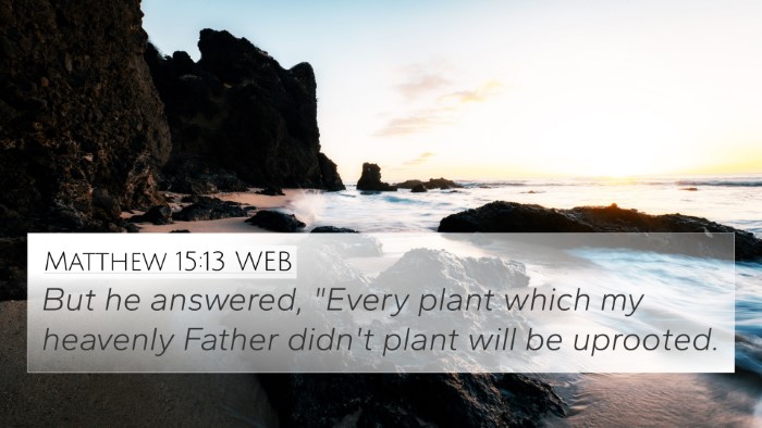 Matthew 15:13 WEB 4K Wallpaper - But he answered, 