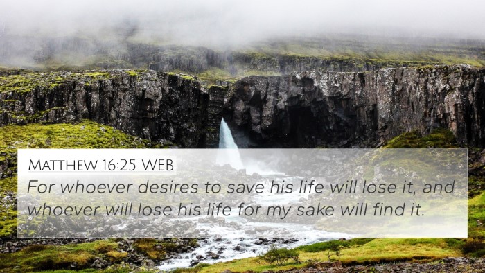 Matthew 16:25 WEB Bible Verse Image