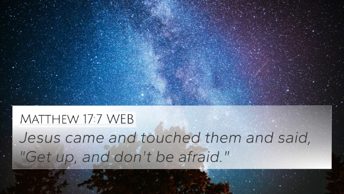 Matthew 17:7 WEB Bible Verse Image