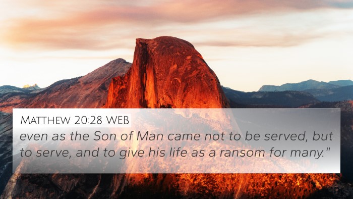Matthew 20:28 WEB Bible Verse Image