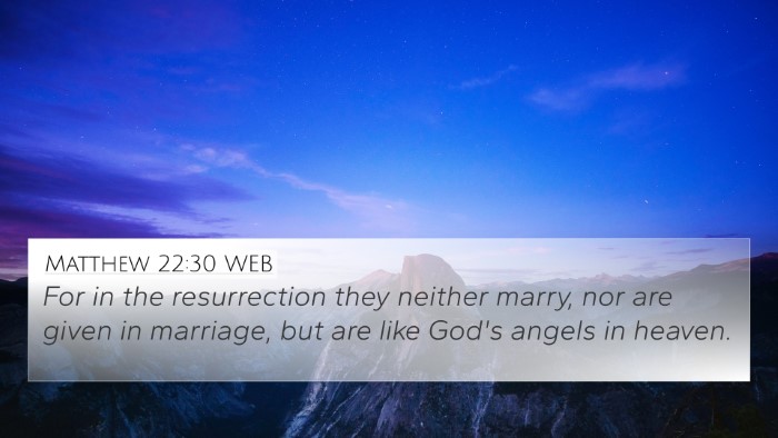 Matthew 22:30 WEB Bible Verse Image