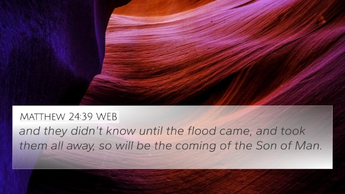 Matthew 24:39 WEB Bible Verse Image