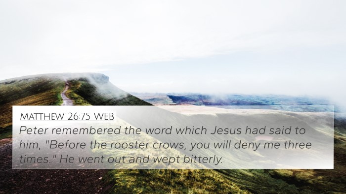 Matthew 26:75 WEB Bible Verse Image