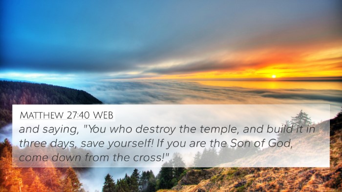 Matthew 27:40 WEB Bible Verse Image