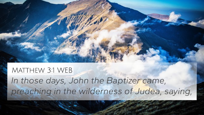 Matthew 3:1 WEB Bible Verse Image