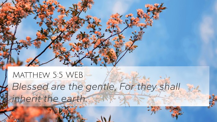Matthew 5:5 WEB Bible Verse Image
