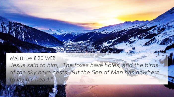 Matthew 8:20 WEB 4K Wallpaper - Jesus said to him, 