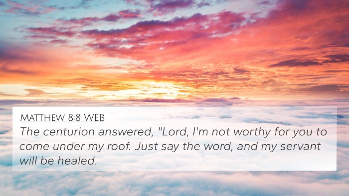 Matthew 8:8 WEB Bible Verse Image