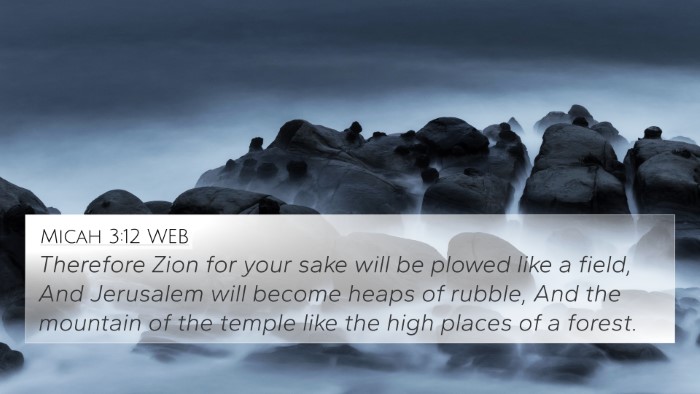 Micah 3:12 WEB Bible Verse Image