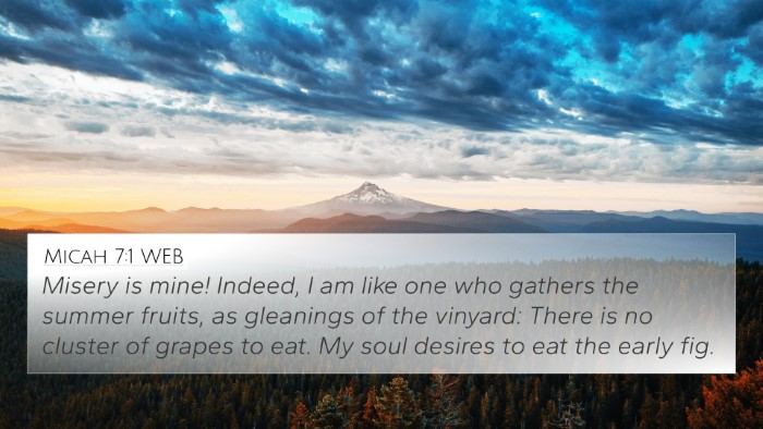 Micah 7:1 WEB Bible Verse Image