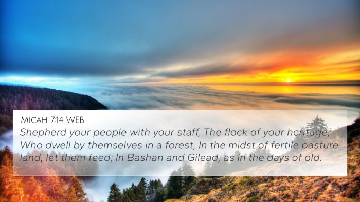Micah 7:14 WEB Bible Verse Image