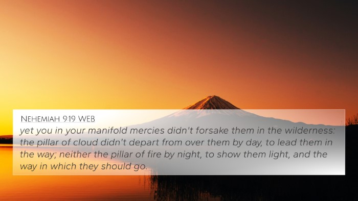 Nehemiah 9:19 WEB Bible Verse Image
