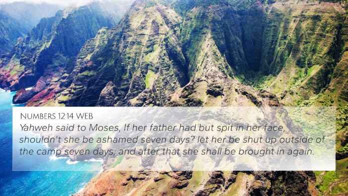 Numbers 12:14 WEB Bible Verse Image