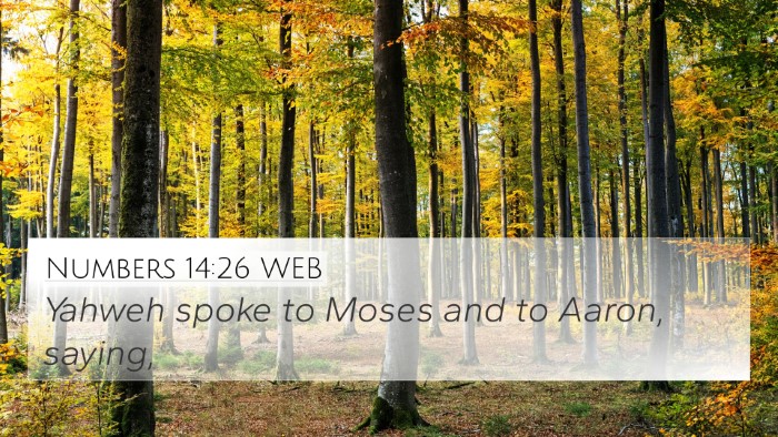 Numbers 14:26 WEB 4K Wallpaper - Yahweh spoke to Moses and to Aaron, - 4K Wallpaper Bible Verse