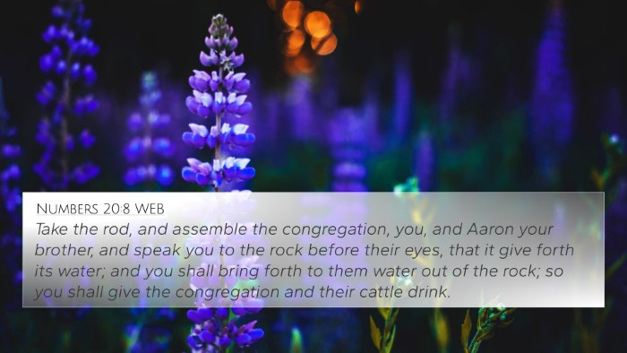 Numbers 20:8 WEB Bible Verse Image