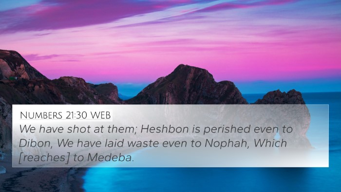 Numbers 21:30 WEB Bible Verse Image