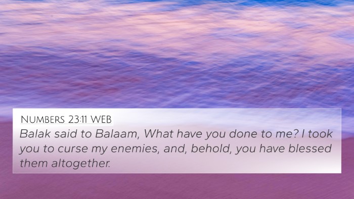 Numbers 23:11 WEB Bible Verse Image