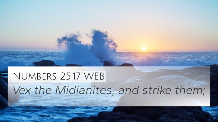 Numbers 25:17 WEB 4K Wallpaper - Vex the Midianites, and strike - 4K Wallpaper Bible Verse