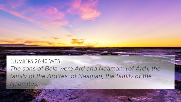 Numbers 26:40 WEB 4K Wallpaper - The sons of Bela were Ard and Naaman: [of Ard], - 4K Wallpaper Bible Verse