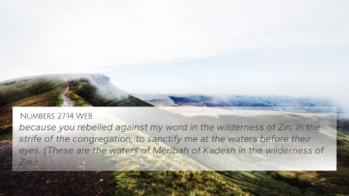 Numbers 27:14 WEB Bible Verse Image