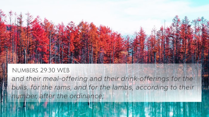 Numbers 29:30 WEB 4K Wallpaper - and their meal-offering and their drink-offerings - 4K Wallpaper Bible Verse