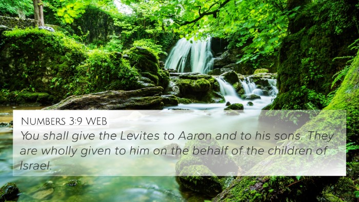 Numbers 3:9 WEB 4K Wallpaper - You shall give the Levites to Aaron and to his - 4K Wallpaper Bible Verse
