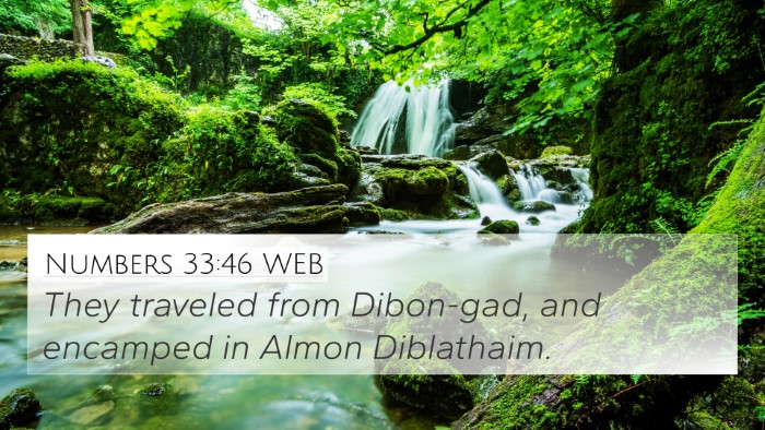 Numbers 33:46 WEB Bible Verse Image