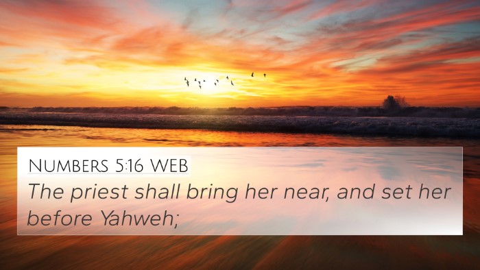 Numbers 5:16 WEB 4K Wallpaper - The priest shall bring her near, and set her - 4K Wallpaper Bible Verse