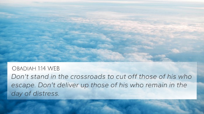 Obadiah 1:14 WEB 4K Wallpaper - Don't stand in the crossroads to cut off those of - 4K Wallpaper Bible Verse