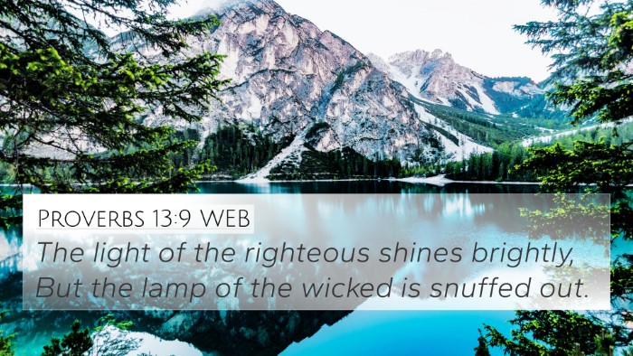 Proverbs 13:9 WEB Bible Verse Image