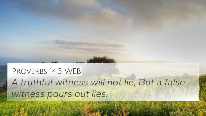 Proverbs 14:5 WEB 4K Wallpaper - A truthful witness will not lie, But a false - 4K Wallpaper Bible Verse