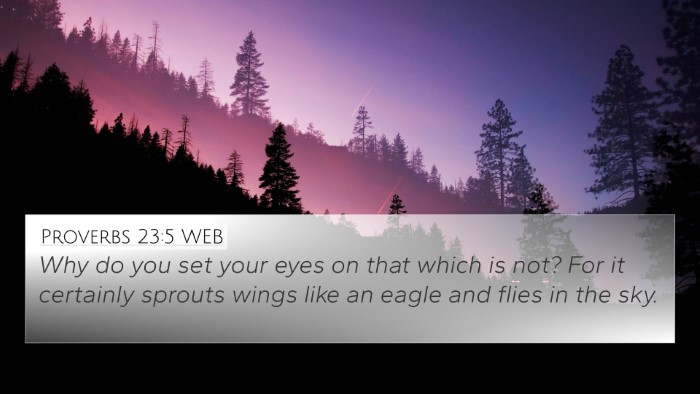 Proverbs 23:5 WEB Bible Verse Image