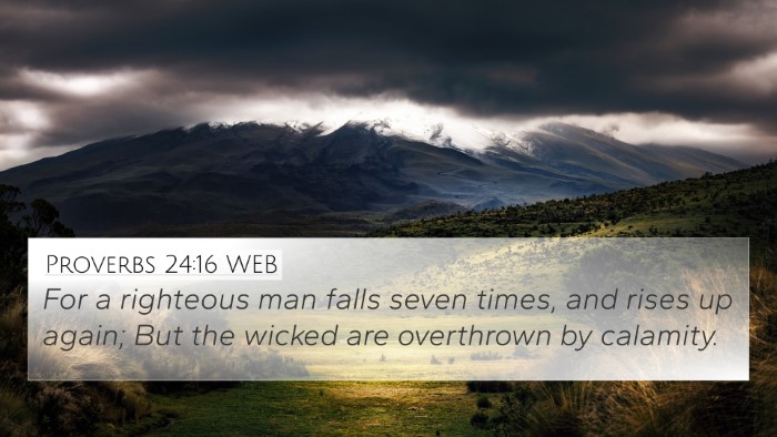 Proverbs 24:16 WEB Bible Verse Image