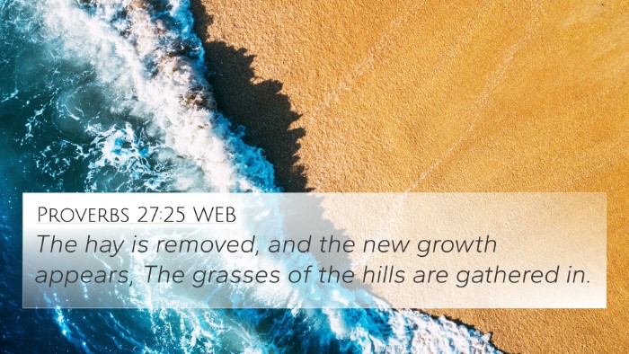 Proverbs 27:25 WEB 4K Wallpaper - The hay is removed, and the new growth appears, - 4K Wallpaper Bible Verse