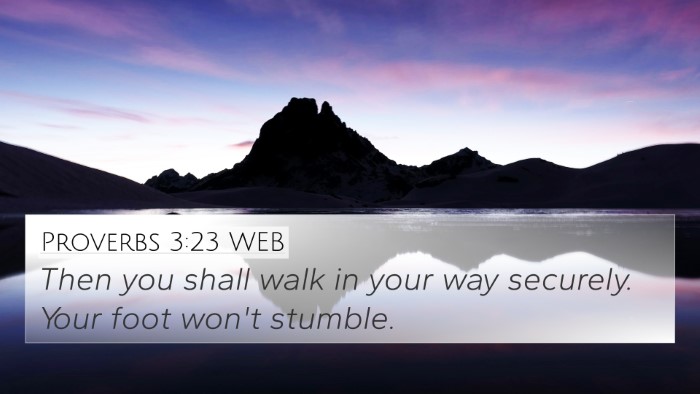 Proverbs 3:23 WEB Bible Verse Image
