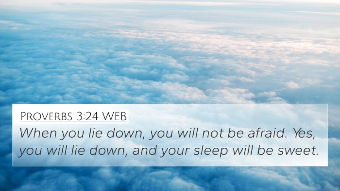 Proverbs 3:24 WEB Bible Verse Image