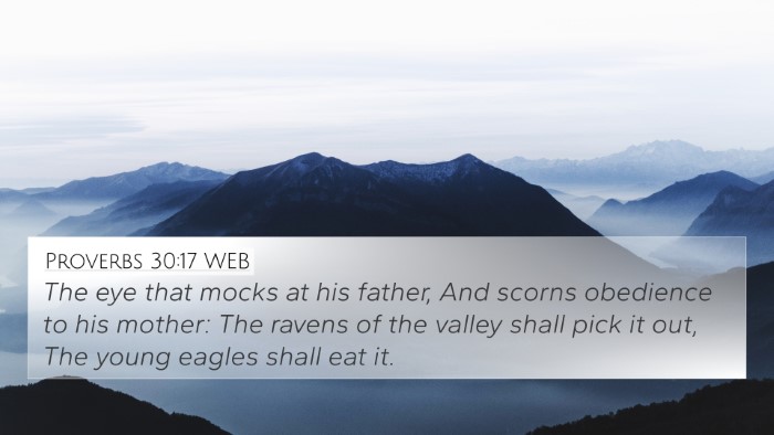 Proverbs 30:17 WEB Bible Verse Image