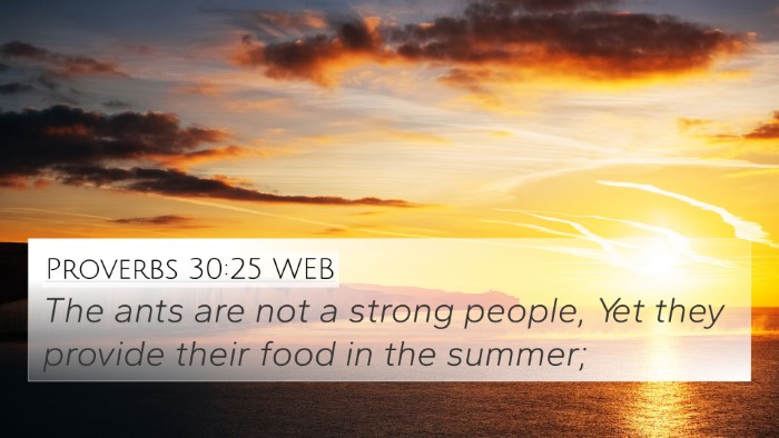 Proverbs 30:25 WEB Bible Verse Image