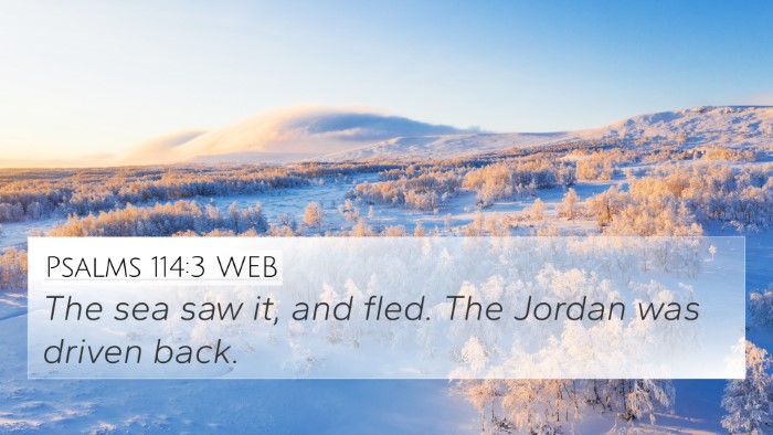 Psalms 114:3 WEB 4K Wallpaper - The sea saw it, and fled. The Jordan was driven - 4K Wallpaper Bible Verse