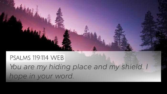 Psalms 119:114 WEB Bible Verse Image