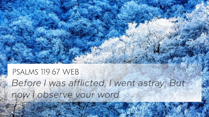 Psalms 119:67 WEB Bible Verse Image